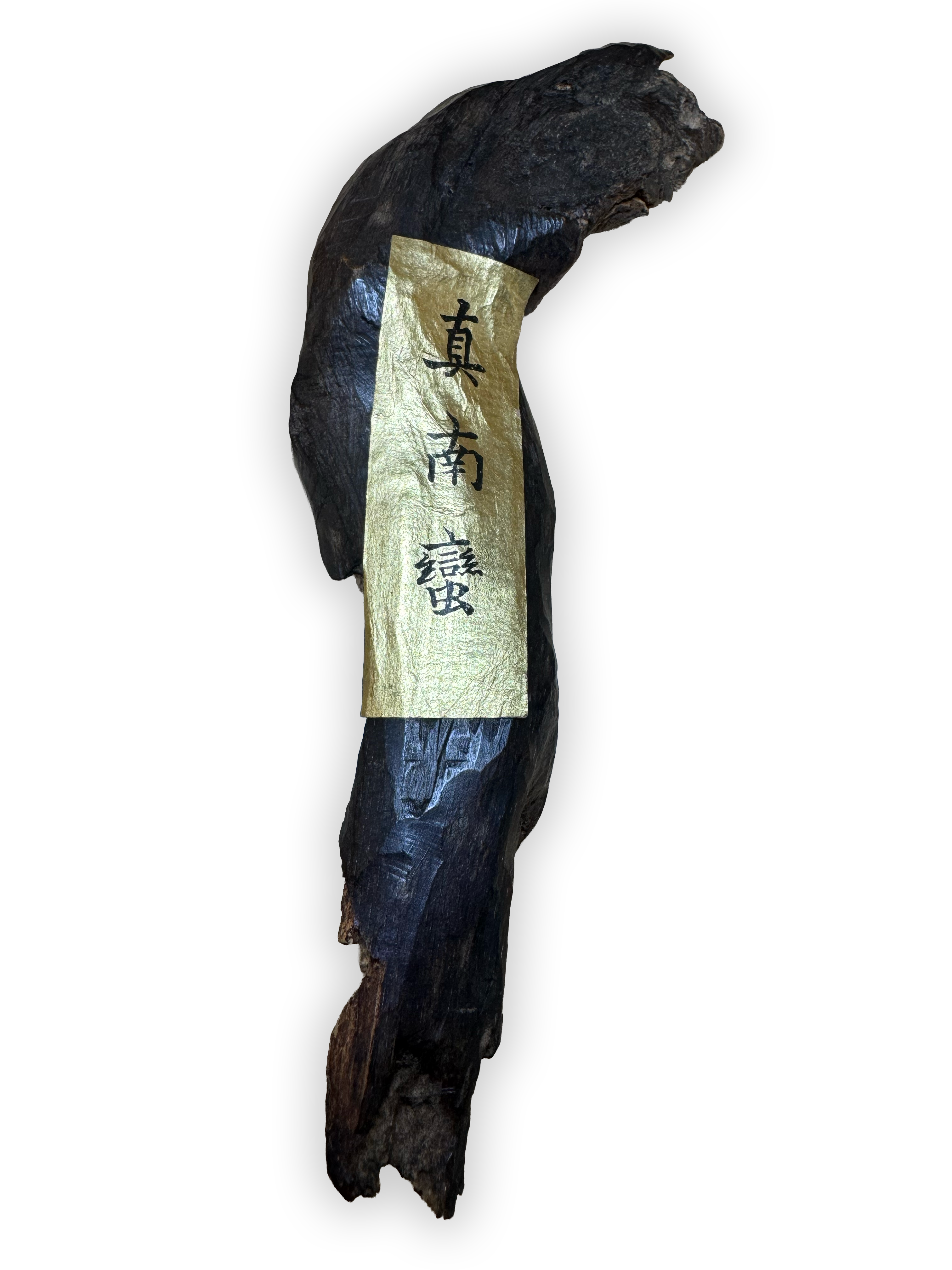 香木 参考写真